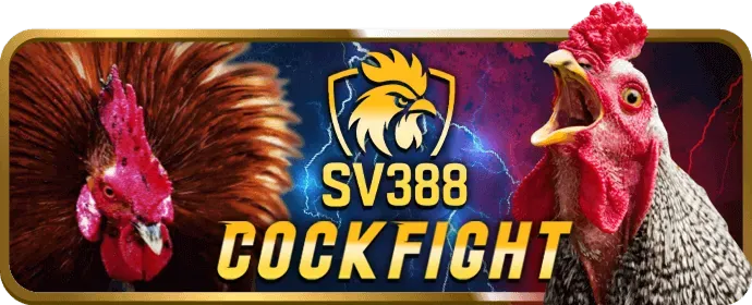 Cấp độ VIP Bạc của hm888 Code